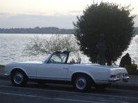 New 230 SL Whit blue 046t.jpg